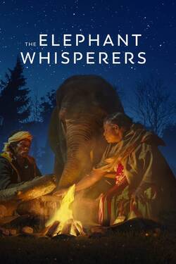 The Elephant Whisperers (2022) Full Movie Multi Audio [Hindi + Tamil + Telugu] NF WEB-DL 1080p 720p 480p Download
