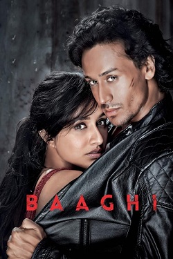 Baaghi (2016) Hindi Full Movie BluRay ESubs 1080p 720p 480p Download